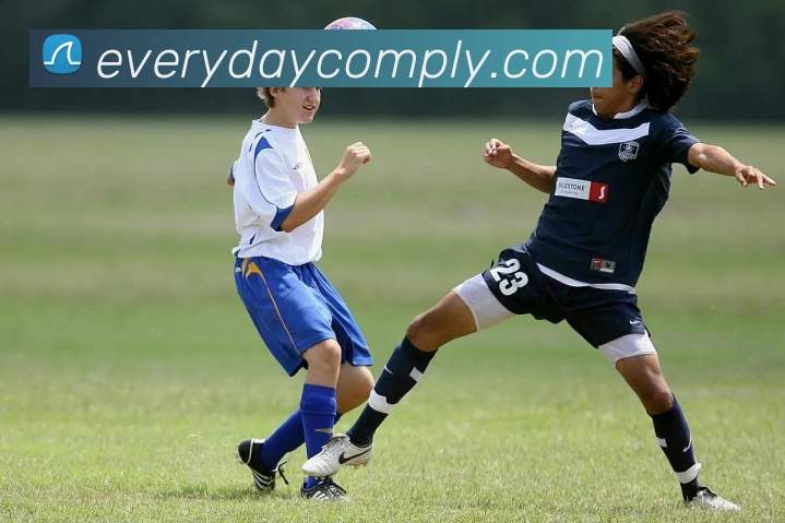 3377体育APP 封面图